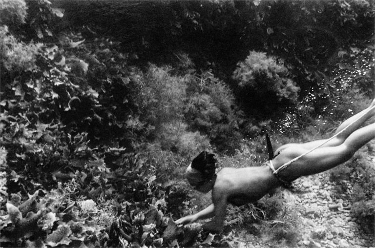 Amasan woman divers - girl gone authentic