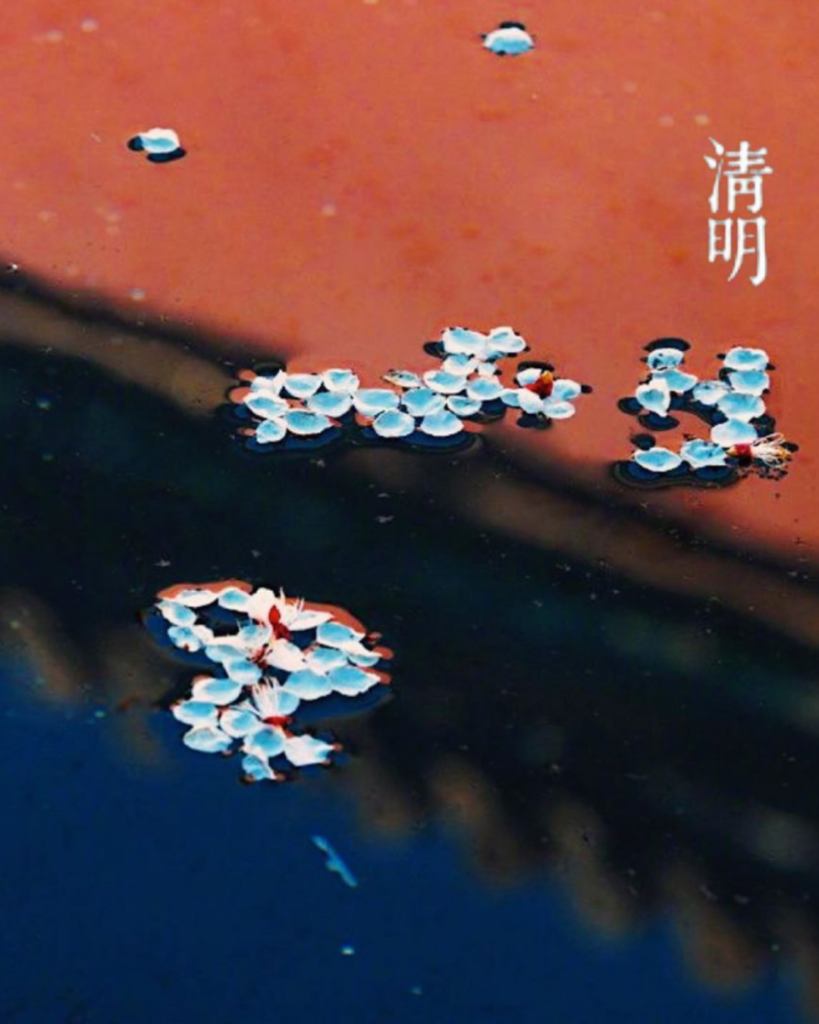 zoey xinyi gong girl gone authentic on balance