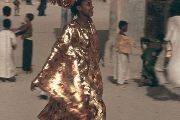 The Signal Vol. II, The Art of Being Seen