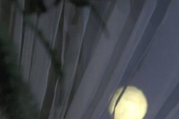 Full Moon Bathing Ceremony for Calm and Clarity