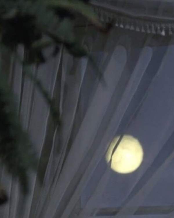 Full Moon Bathing Ceremony for Calm and Clarity